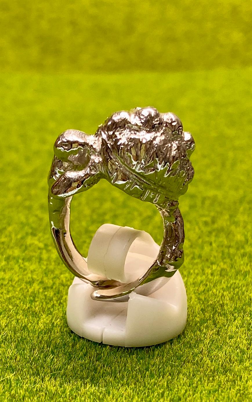 ホシガメリング　 Free Size  ロジウムメッキ仕様 | 3枚目